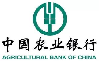 299元搶3d硬金福袋手串 這個(gè)周末不來(lái)金鷹你就虧了